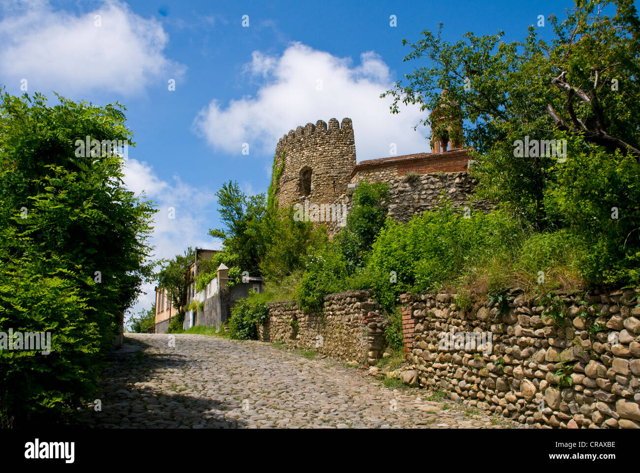 Sighnaghi Castello, Provincia di Kakheti, Georgia, regione del Caucaso meridionale, Medio Oriente Foto Stock