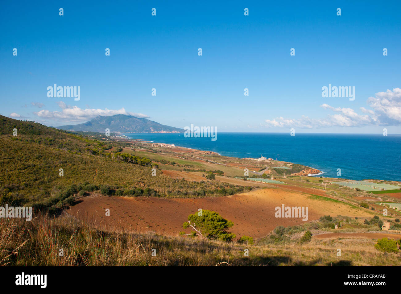 Paesaggio mediterraneo vicino a Tipasa, Algeria, Africa Foto Stock