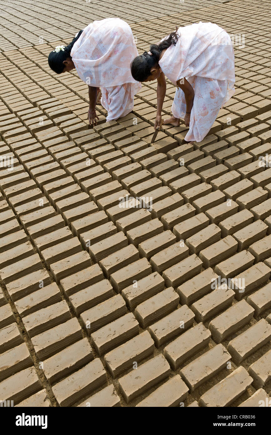 Realizzazione di mattoni di argilla, Neloor Maravappalayam, vicino Karur, Tamil Nadu, India, Asia Foto Stock