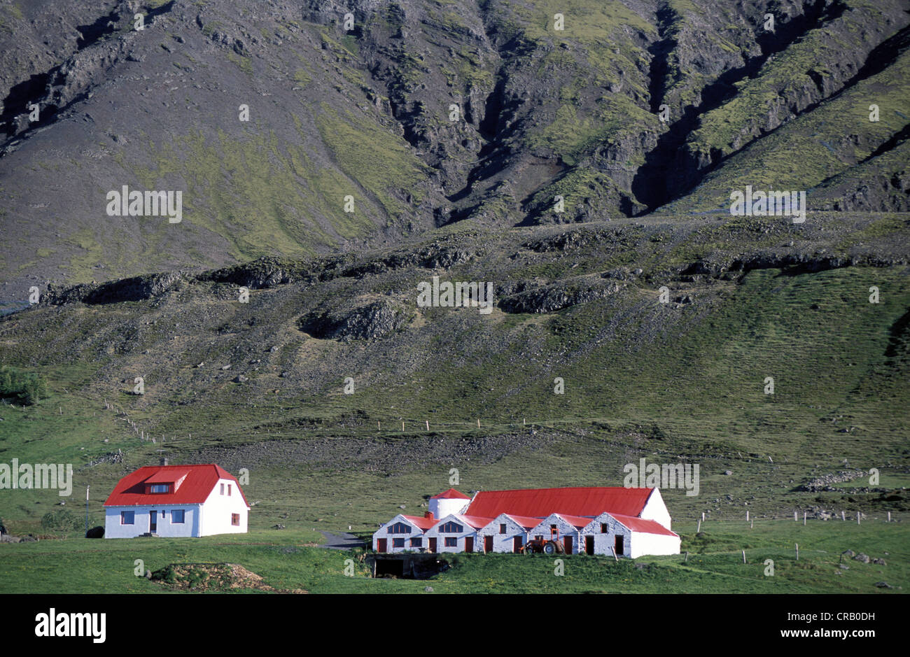 Hnappavellir, una fattoria nel sud dell'Islanda, Islanda, Europa Foto Stock