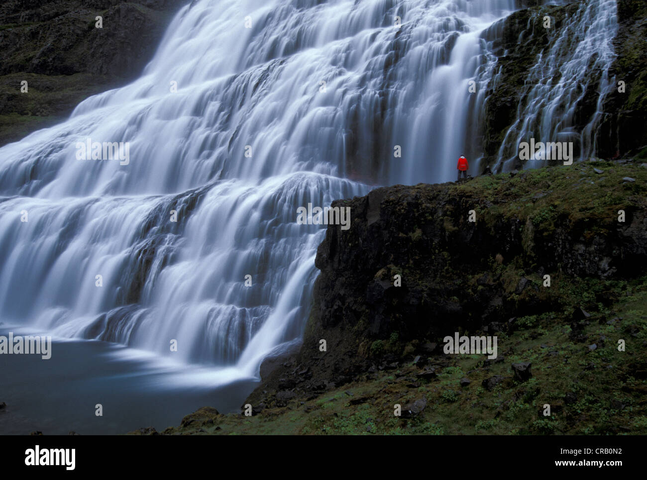 Cascate Dynjandi, noto anche come Fjallfoss, la cascata più grande nel Fjallfossar, Arnarfjoerður, Arnarfjordur, fiordi ovest Foto Stock