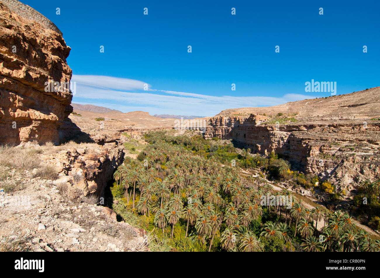 Green rock canyon di Ghouffi in Aures montagne, Algeria, Africa Foto Stock
