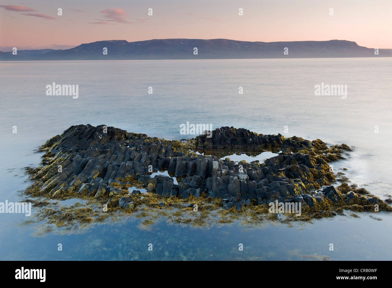 Formazioni di basalto sulla costa vicino a Hofsos, Nord Islanda, Islanda, Europa Foto Stock