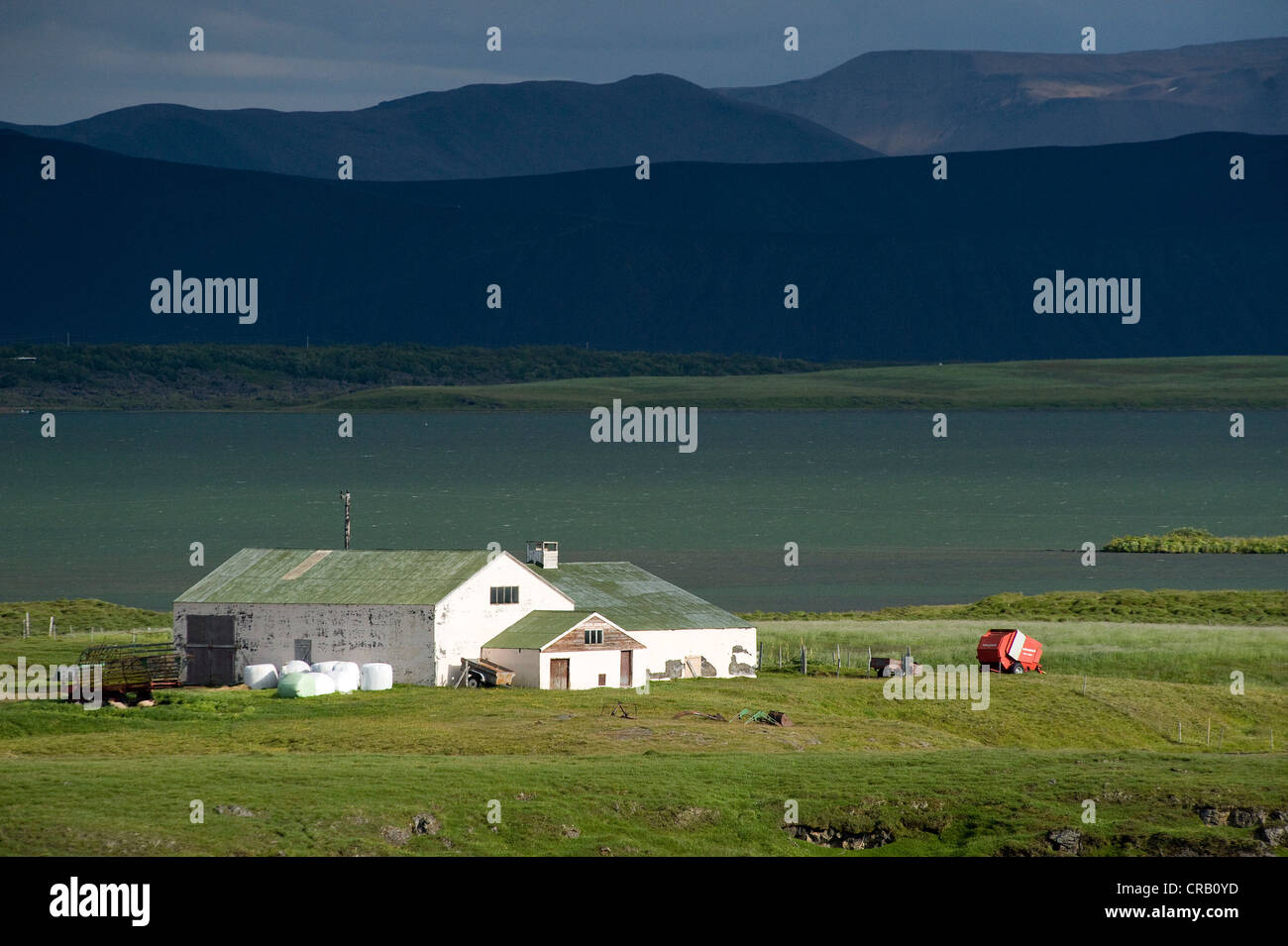Agriturismo, Myvatn, Islanda, Europa Foto Stock