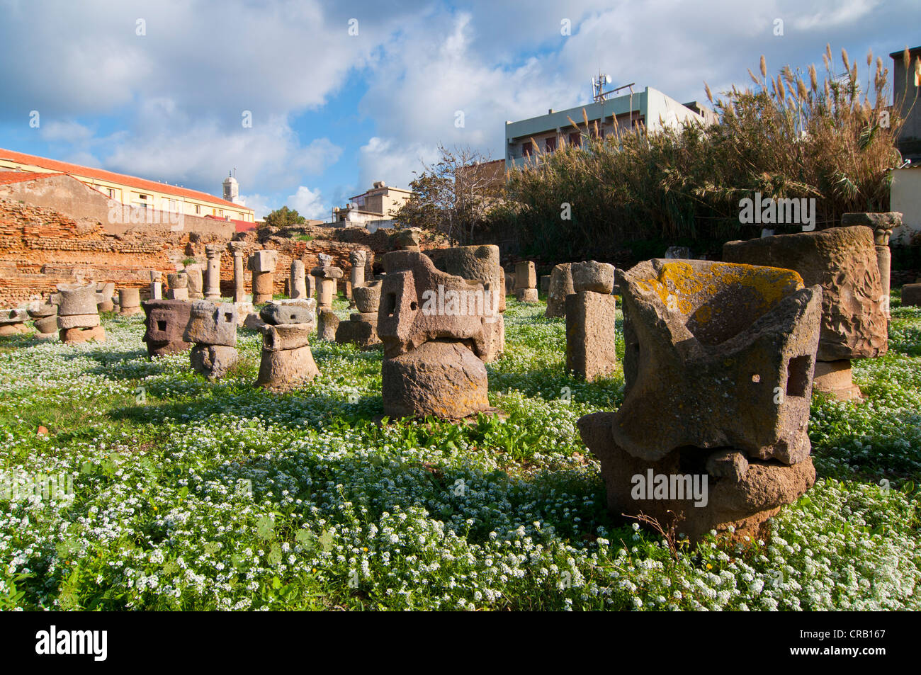 Antico Bagno Romano in Cherchell, Algeria, Africa Foto Stock