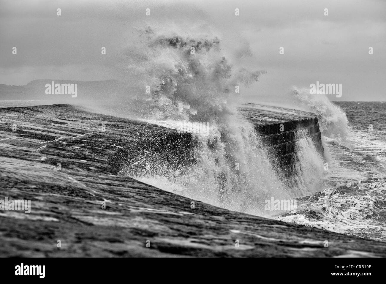 Il Cobb Lyme Regis Dorset Foto Stock