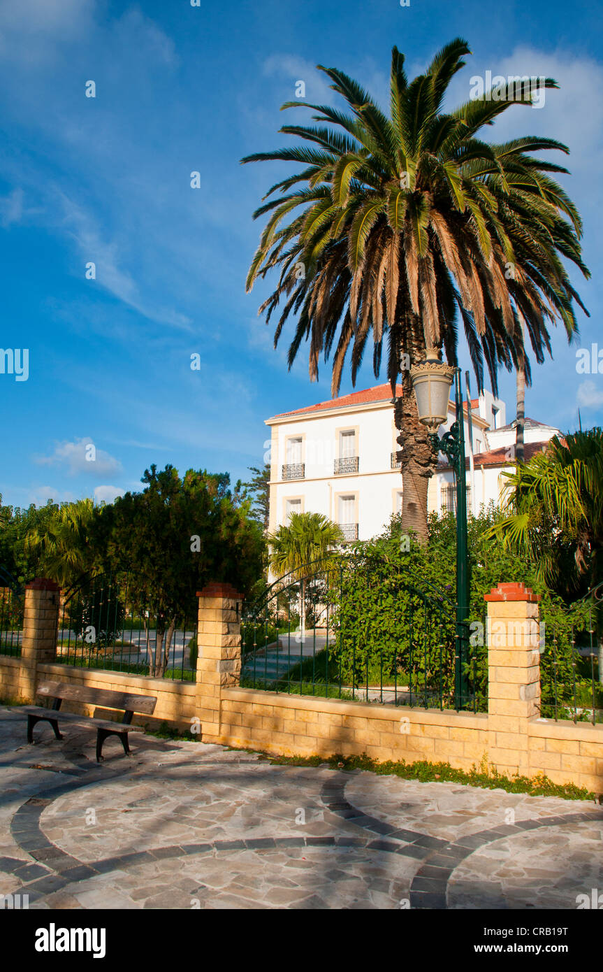 Palm tree nella parte anteriore di una casa coloniale, Cherchell, Algeria, Africa Foto Stock