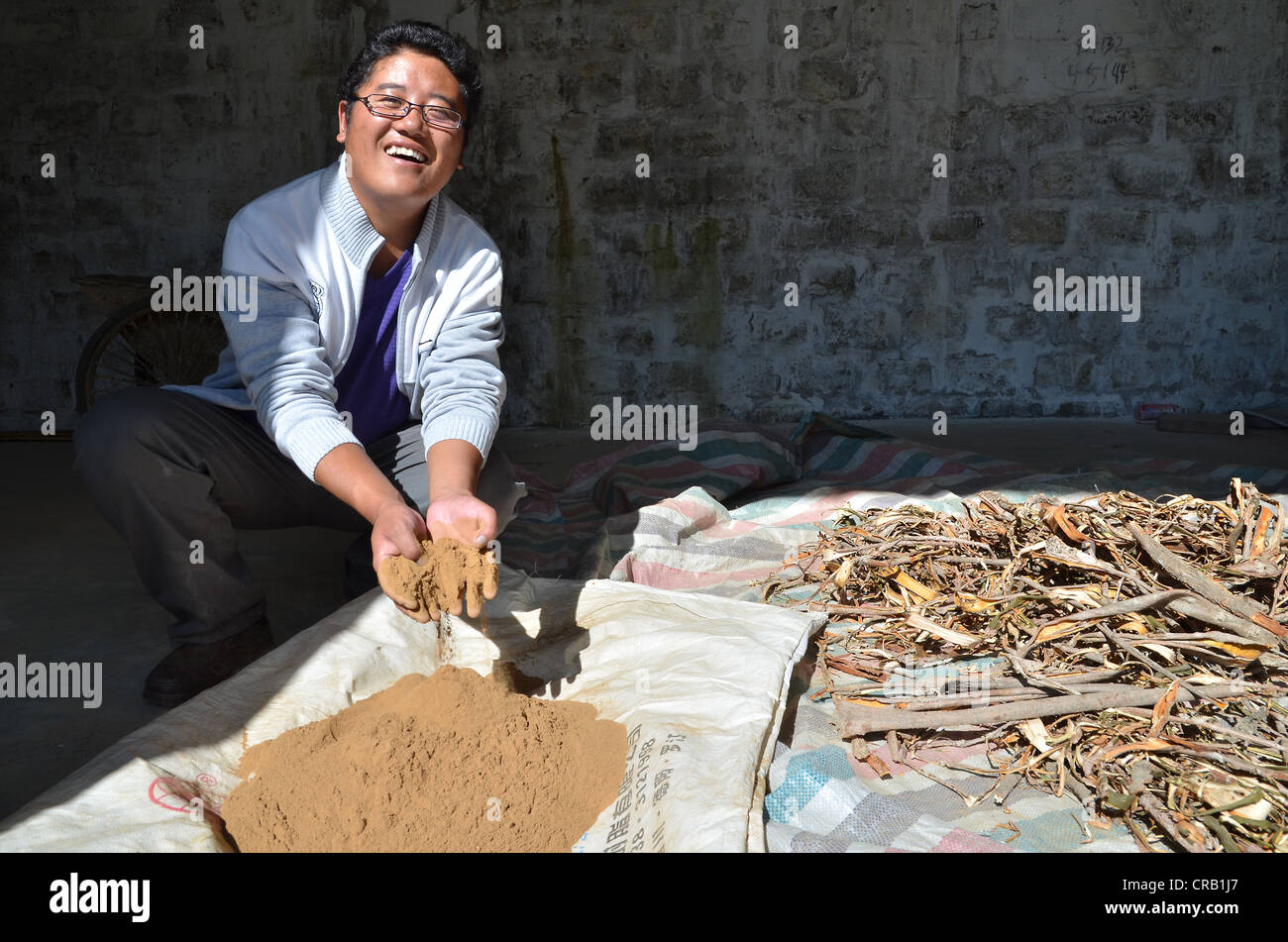 Giovane uomo tibetano in una cooperativa di produzione di tè e bastoncini di incenso, con una corteccia che viene macinato e utilizzato per la fabbricazione di Foto Stock