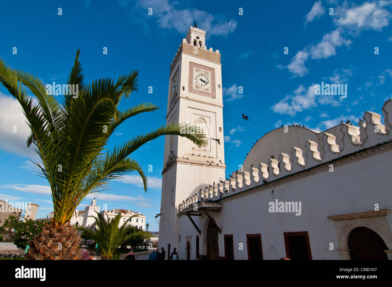 Moschea Jamaa el-Jedid moschea o dei pescatori per la Piazza dei Martiri ad Algeri, Algeria, Africa Foto Stock