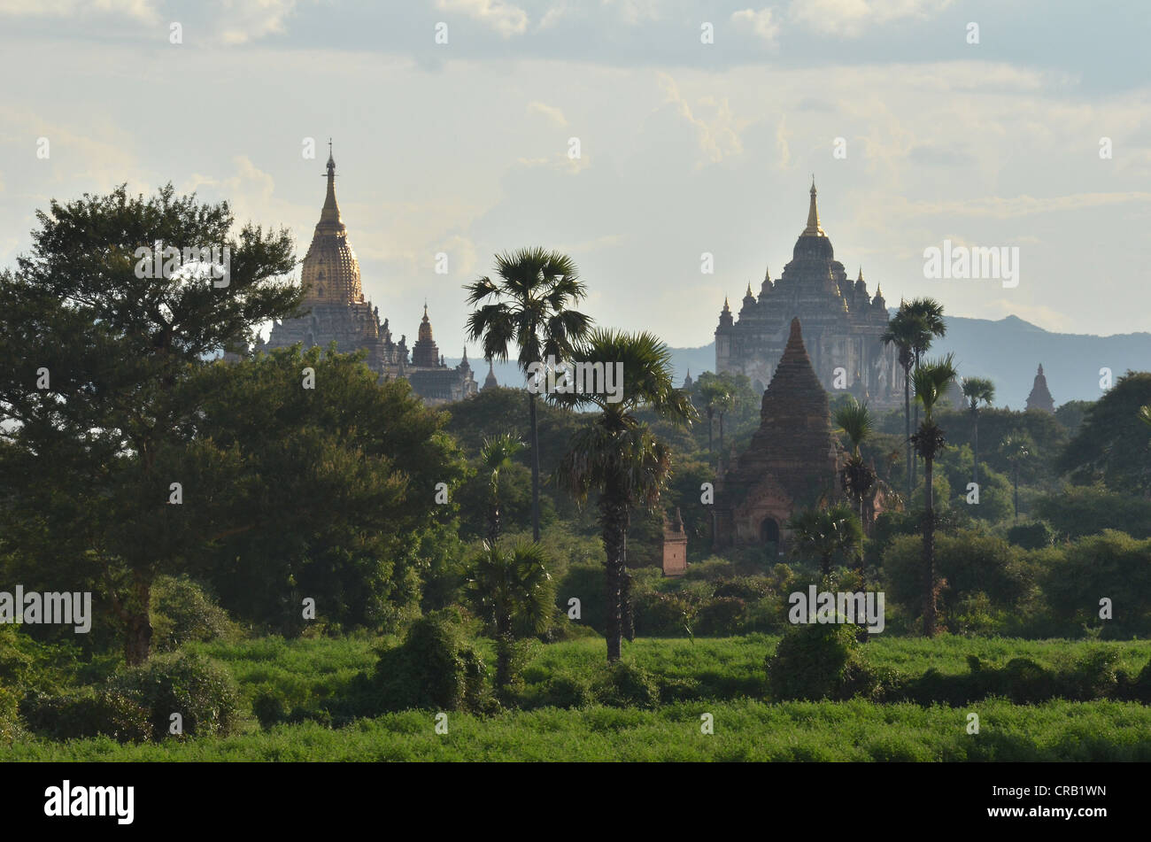 Aumento di fumo, la nebbia e la luce della sera tra i campi, templi e pagode, Ananada Temple e Thatbyinnyu tempio di Bagan Foto Stock