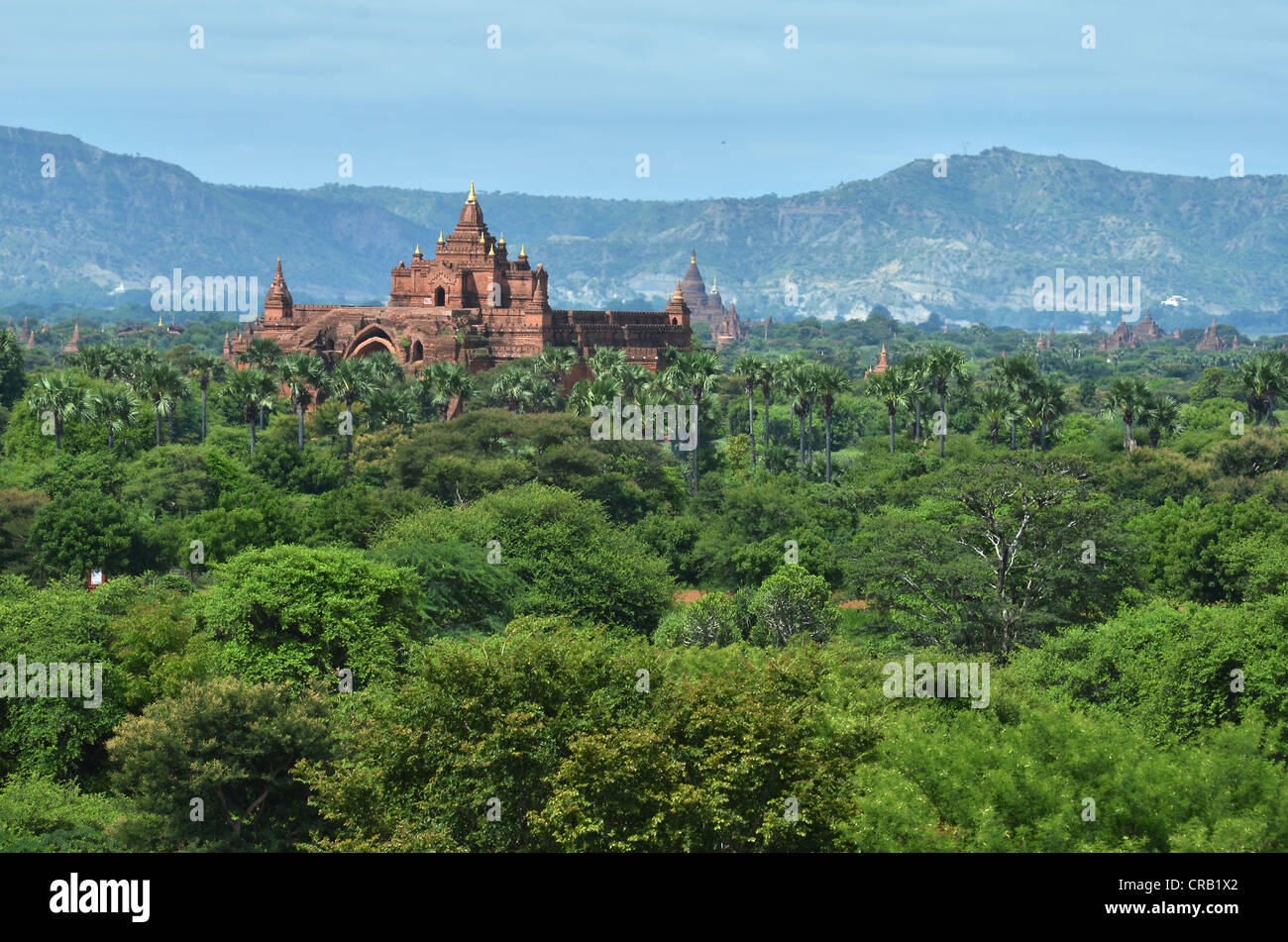 Vista la grande Dhammayangyi Pahto edificio nella luce della sera, Bagan, birmania, myanmar, Asia Foto Stock