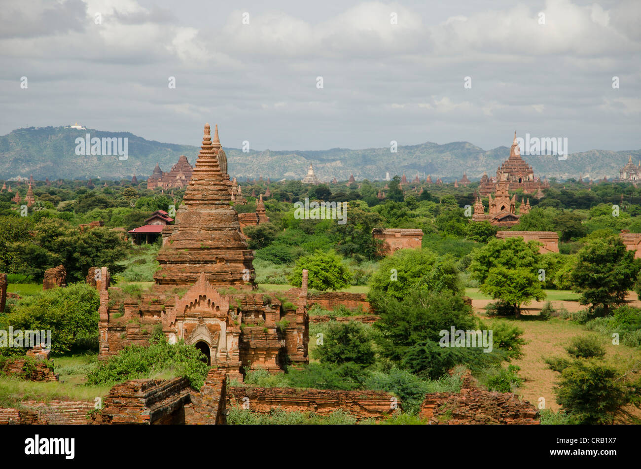 Campo pagoda, pagode buddiste, Old Bagan, pagano, birmania, myanmar, Asia sud-orientale, Asia Foto Stock