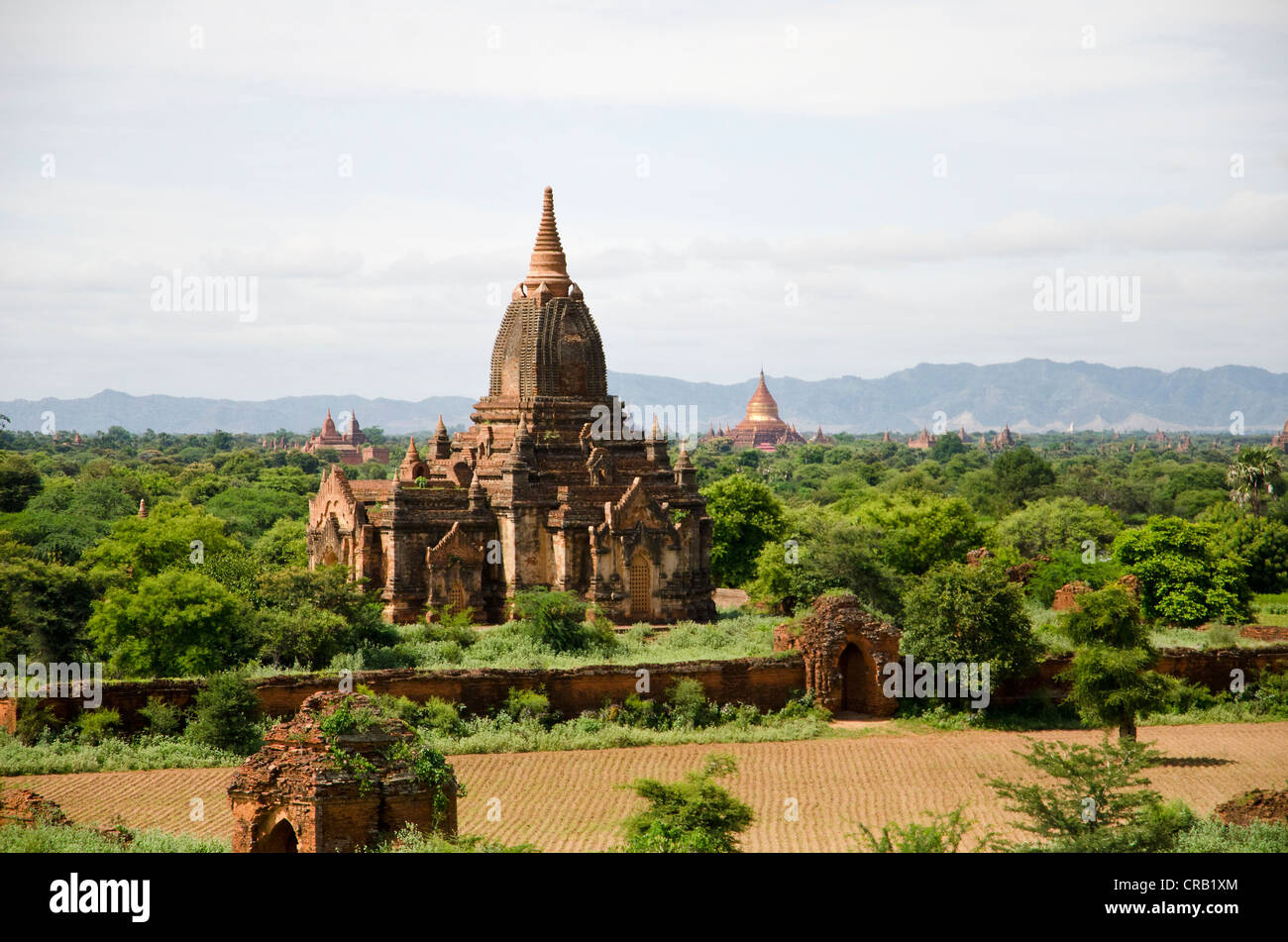 Scatola pagoda, pagode buddiste, Old Bagan, pagano, Birmania, birmania, myanmar, Asia sud-orientale, Asia Foto Stock
