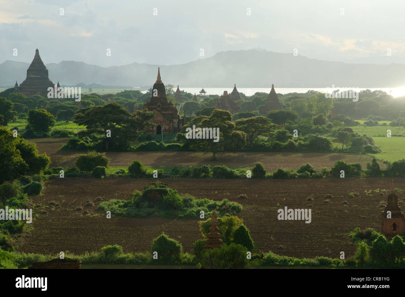 Aumento di fumo, la nebbia e la luce della sera tra i campi, templi e pagode di Bagan, MYANMAR Birmania, sud-est asiatico Foto Stock