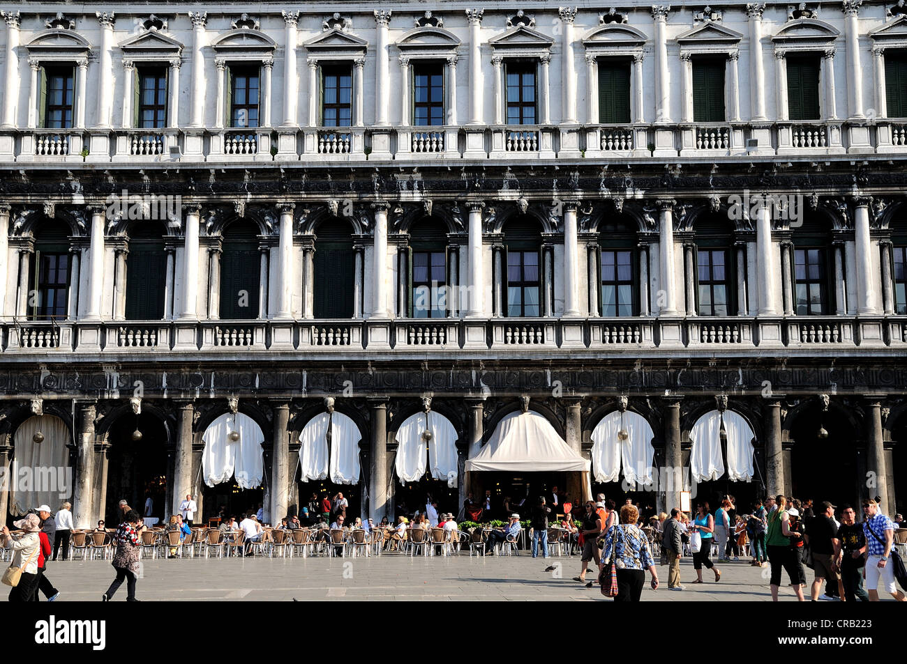 Piazza San Marco Venezia Italia Foto Stock