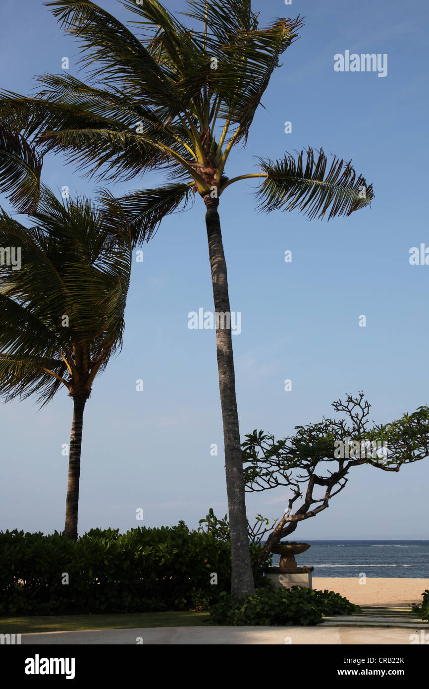 Questa è una foto di Bali in Indonesia. Si tratta di un luogo turistico con una bella spiaggia di sabbia e molto Zen con Palm tree, coco tree, tempio Foto Stock