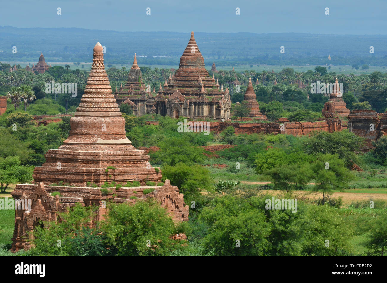 Campo di pagode e templi buddisti, Zedi, Old Bagan, pagano, birmania, myanmar, Asia sud-orientale, Asia Foto Stock