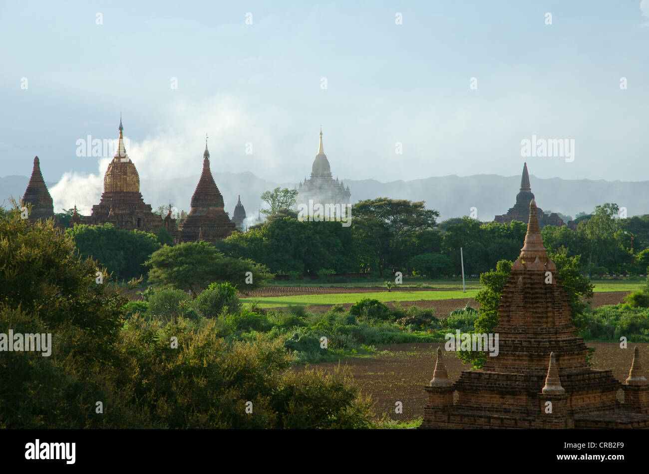 Aumento di fumo, la nebbia e la luce della sera tra i campi, templi e pagode, Bagan, MYANMAR Birmania, Asia sud-orientale, Asia Foto Stock