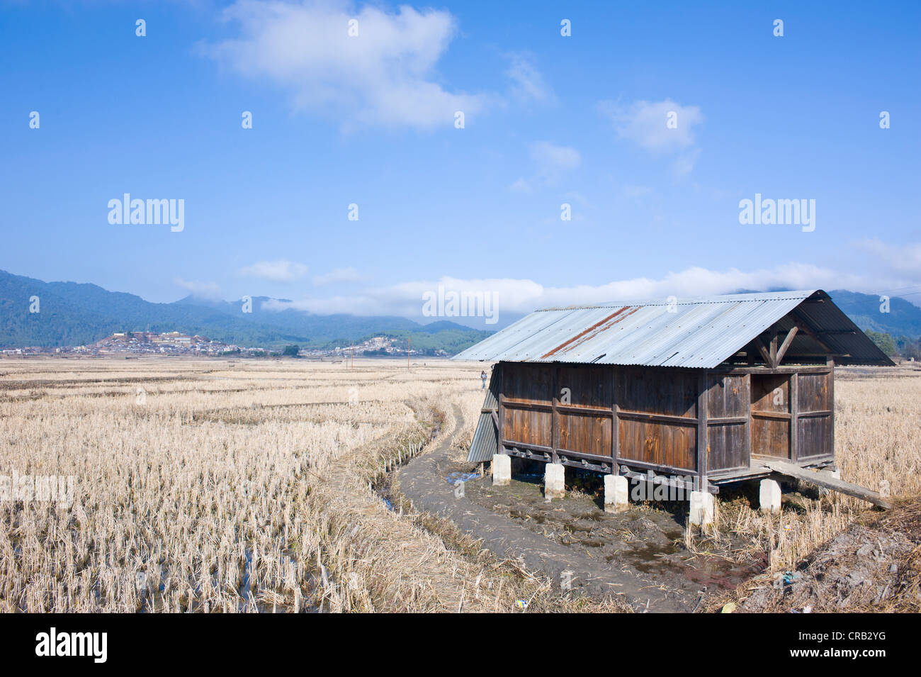 Tradizionale villaggio Apatani Hong al Ziro, Arunachal Pradesh, il Nordest dell India, India, Asia Foto Stock
