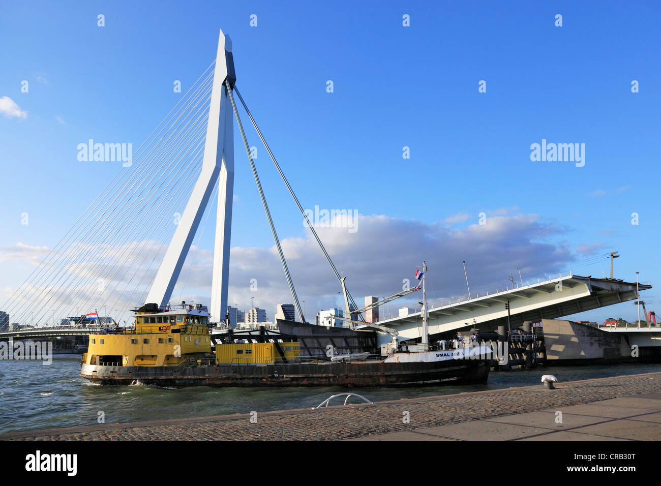 Nave nella parte anteriore del Ponte Erasmus, un cavo-alloggiato ponte a bilico, Rotterdam, Olanda, Paesi Bassi, Europa Foto Stock