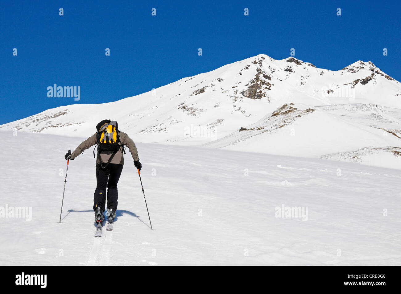 Guida di montagna crescente tour con gli sci, ski tour route nella valle dei Tauri, sulla strada per il rifugio Hagener vicino a Mallnitz Foto Stock