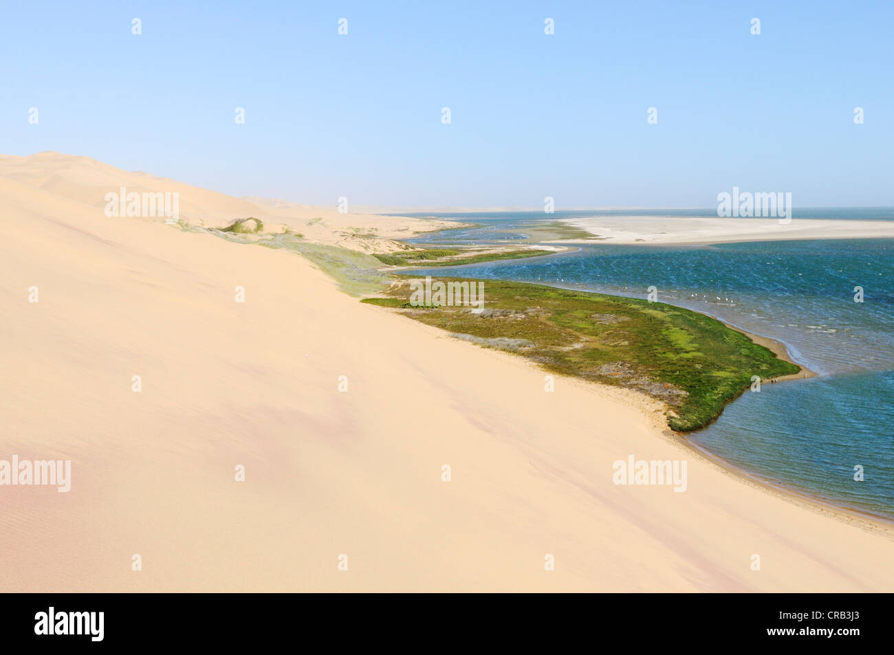 Le dune e le zone umide di Sandwich Harbour, Namib-Naukluft National Park, Skeleton Coast National Park, Namib Desert, Namibia Foto Stock
