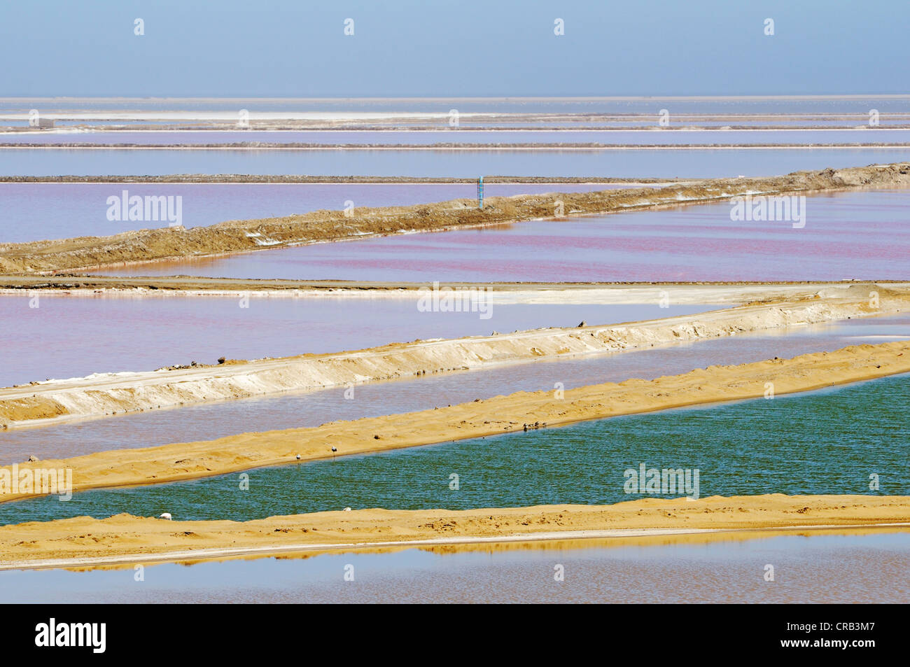 Bacini di acqua utilizzata per la produzione di sale in una padella di sale nel parco nazionale, parte della Namibia Skeleton Coast National Park Foto Stock