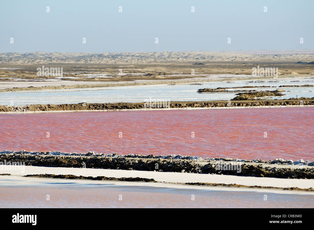 Bacini di acqua utilizzata per la produzione di sale in una padella di sale nel parco nazionale, parte della Namibia Skeleton Coast National Park Foto Stock