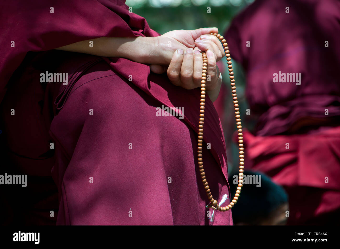 Giovani monaci durante la loro quotidiana ciclo di colloqui nel Tempio Saga, Lhasa, in Tibet, in Asia Foto Stock