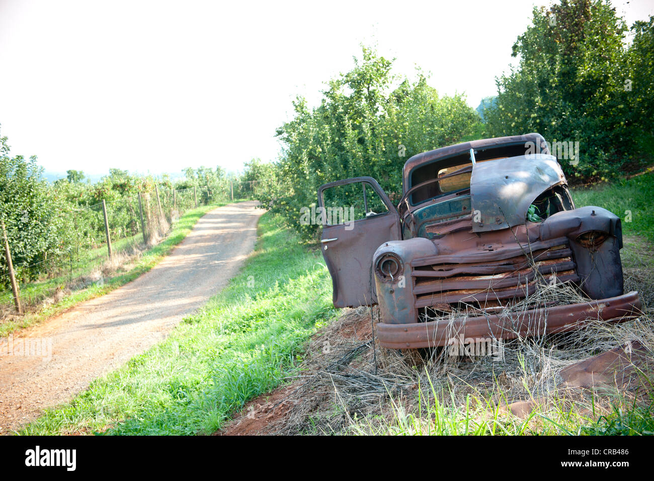 Vecchio arrugginito fuori carrello abbandonato in un Apple Orchard Foto Stock