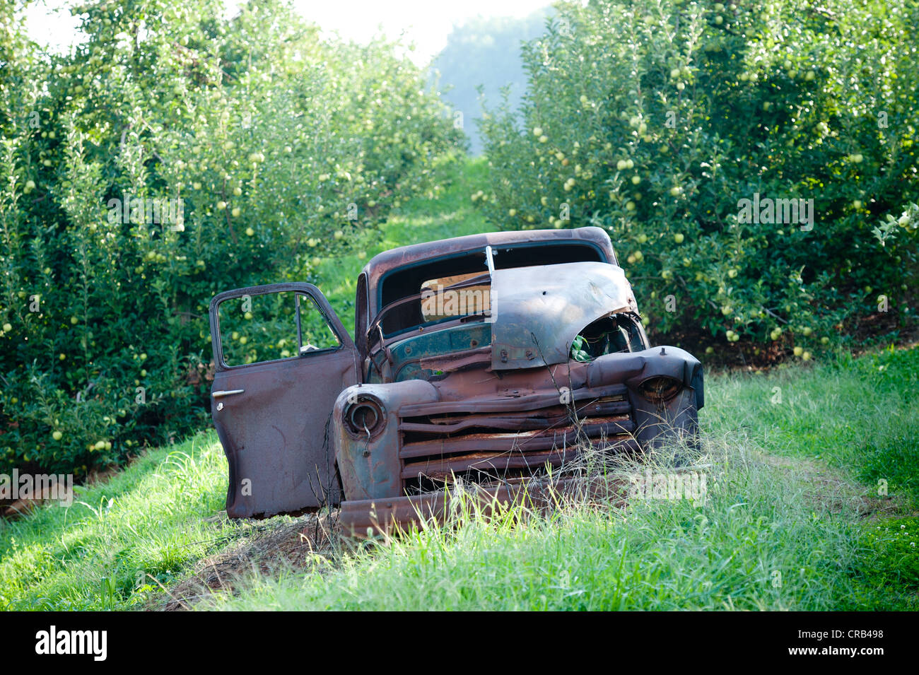 Vecchio arrugginito fuori carrello abbandonato in un Apple Orchard Foto Stock