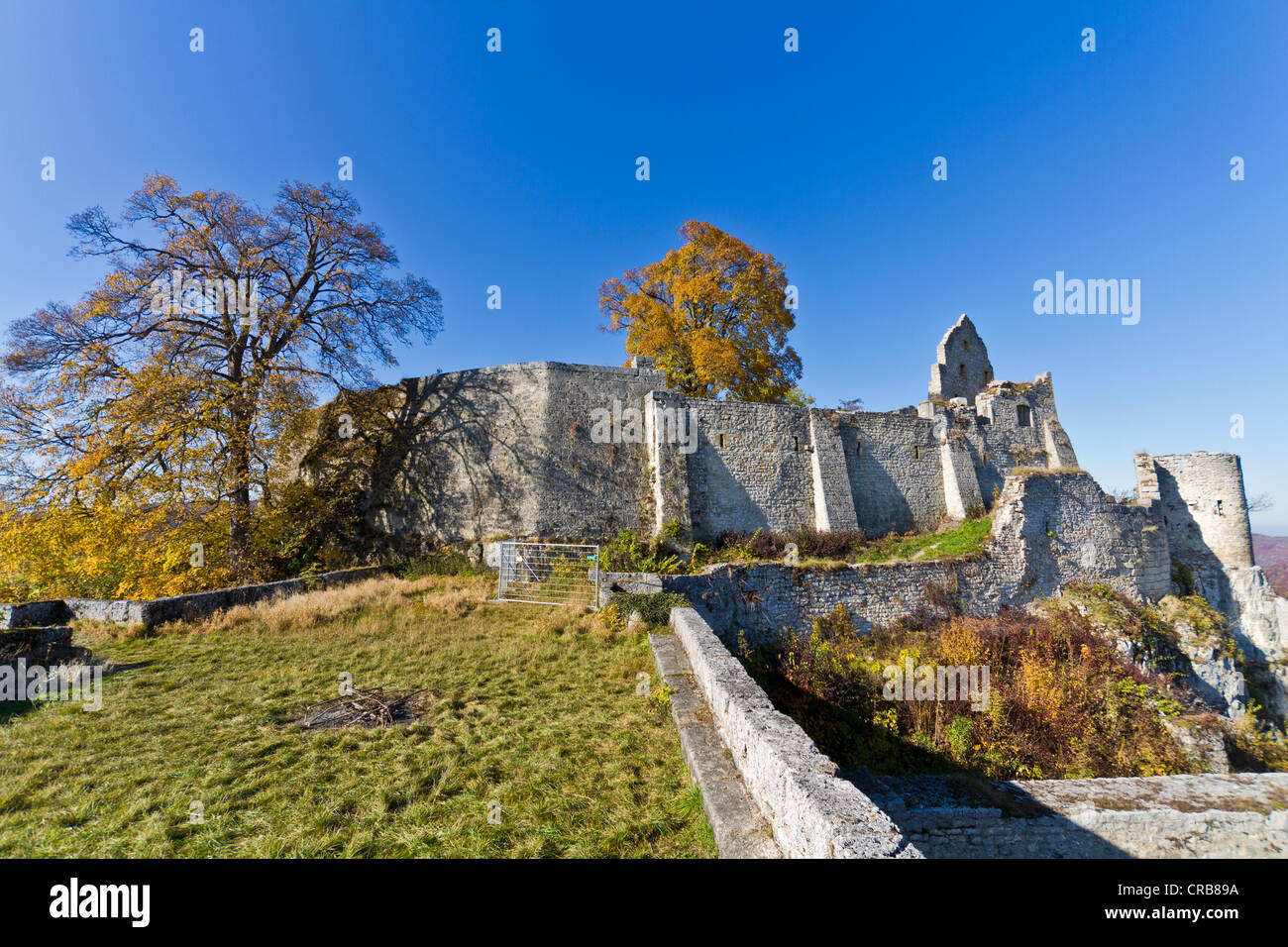 Burg Hohenurach rovine del castello, Bad Urach, Svevo, Reutlingen distretto, Baden-Wuerttemberg, Germania, Europa Foto Stock