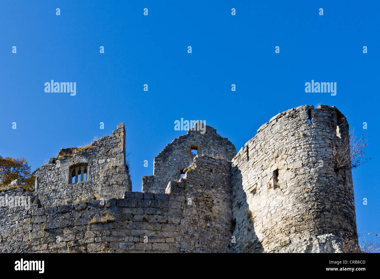 Burg Hohenurach rovine del castello, Bad Urach, Svevo, Reutlingen distretto, Baden-Wuerttemberg, Germania, Europa Foto Stock