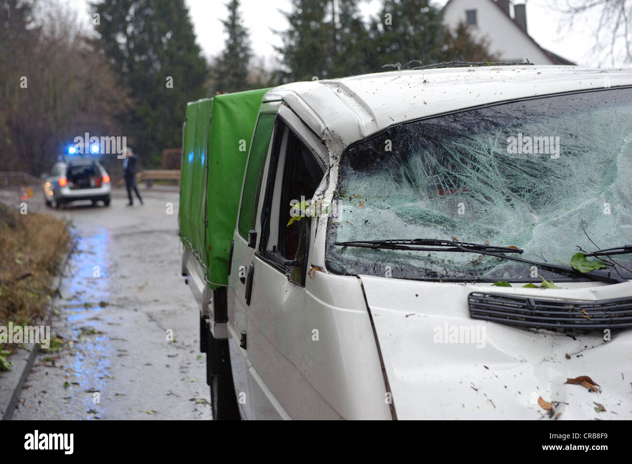 Durante una tempesta un decadimento tree si è schiantato su un passaggio auto e pesantemente danneggiato la sua parte anteriore, Hedelfingen, Baden-Wuerttemberg Foto Stock