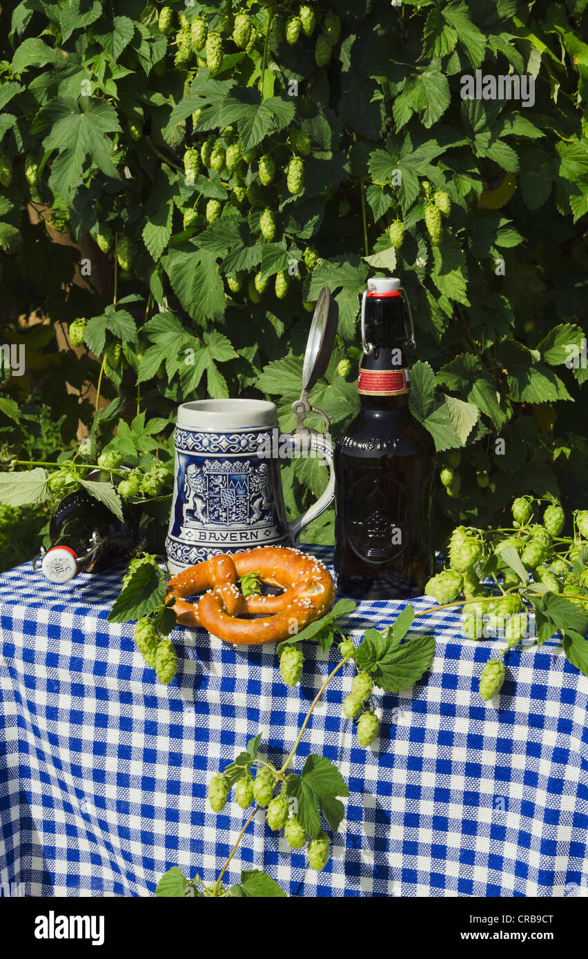 Boccale di birra, Stein, bottiglia di birra, pretzel, in un giardino di luppolo, Mainburg, Hallertau, Baviera, Germania, Europa Foto Stock