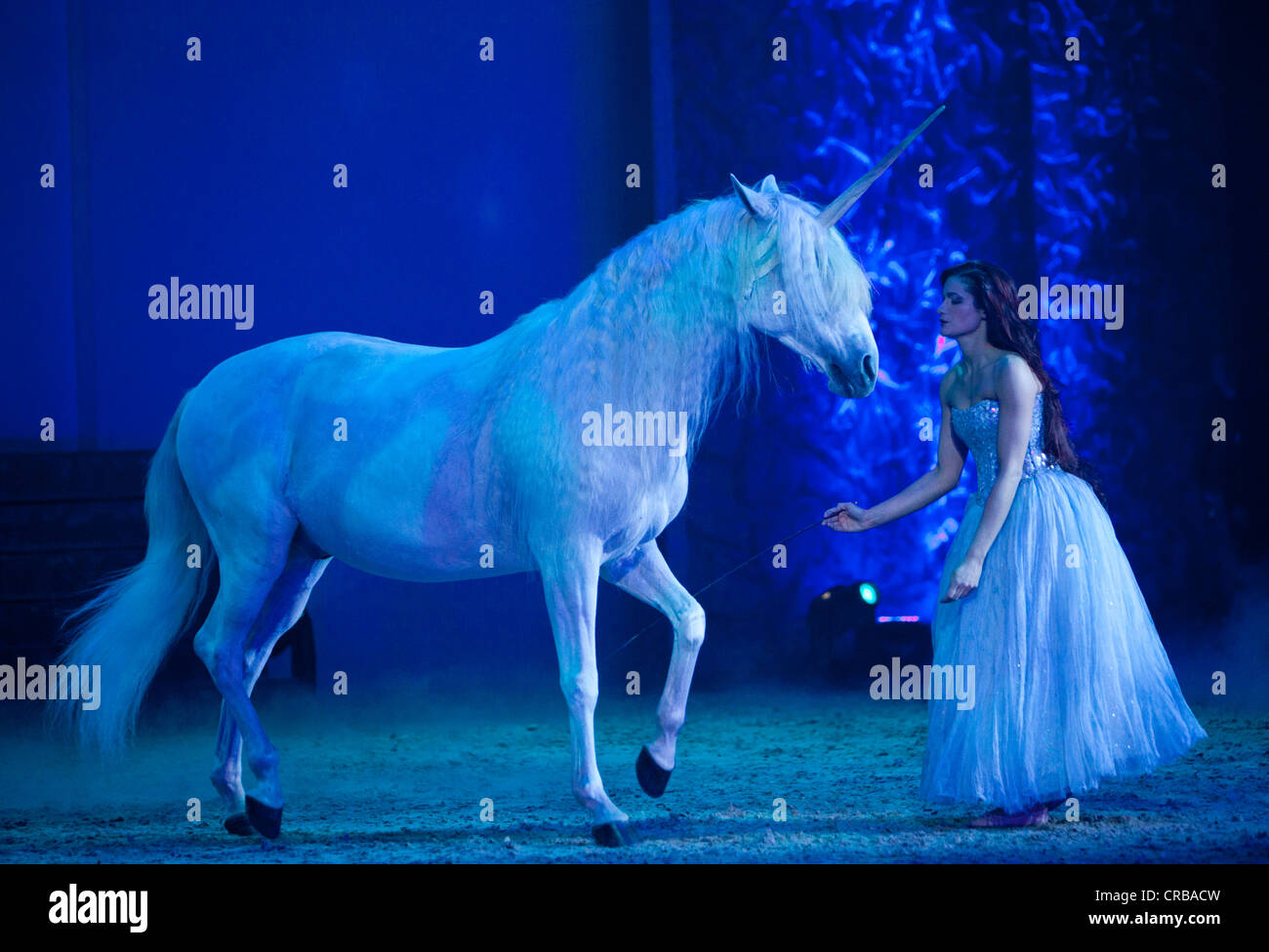 Cavallo come un unicorno, Magnifico, mostra di André Heller, Premiere mondiale su 08.02.2011, Monaco di Baviera, Germania, Europa Foto Stock