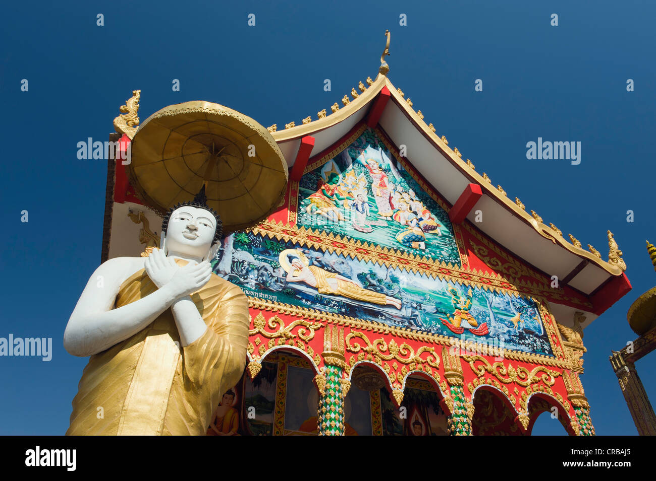 Statua del Buddha, tempio buddista, Wat Dong Palan, Vientiane, Laos, Indocina, Asia Foto Stock