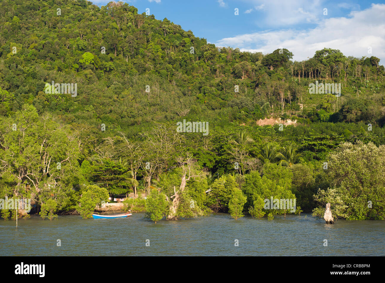 Costa di mangrovie, Ban Tha Tondo, Isola Koh Yao Noi, Phang Nga, Thailandia, Sud-est asiatico, in Asia Foto Stock