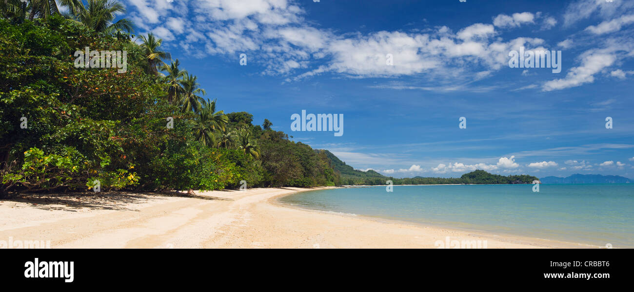 Palme sulla spiaggia sabbiosa, Pasei Beach, Isola Koh Yao Noi, Phang Nga, Thailandia, Sud-est asiatico, in Asia Foto Stock