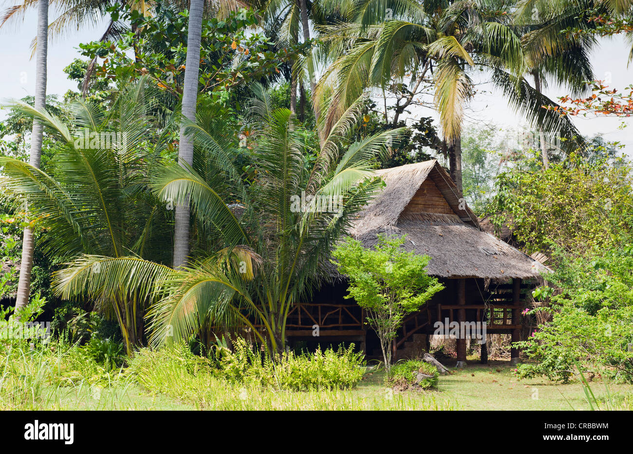Bungalow sotto le palme, Lom Lae Resort, Isola Koh Yao Noi, Phang Nga, Thailandia, Sud-est asiatico, in Asia Foto Stock