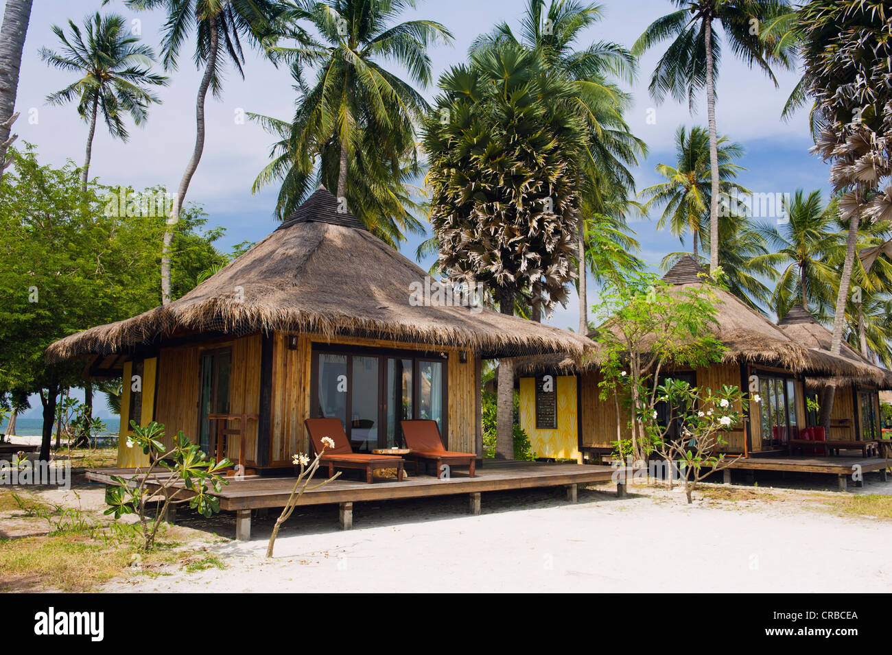 Bungalow sotto le palme, Koh Mook Sivalai Beach Resort, Ko Muk o Ko Mook isola, Thailandia, Sud-est asiatico Foto Stock