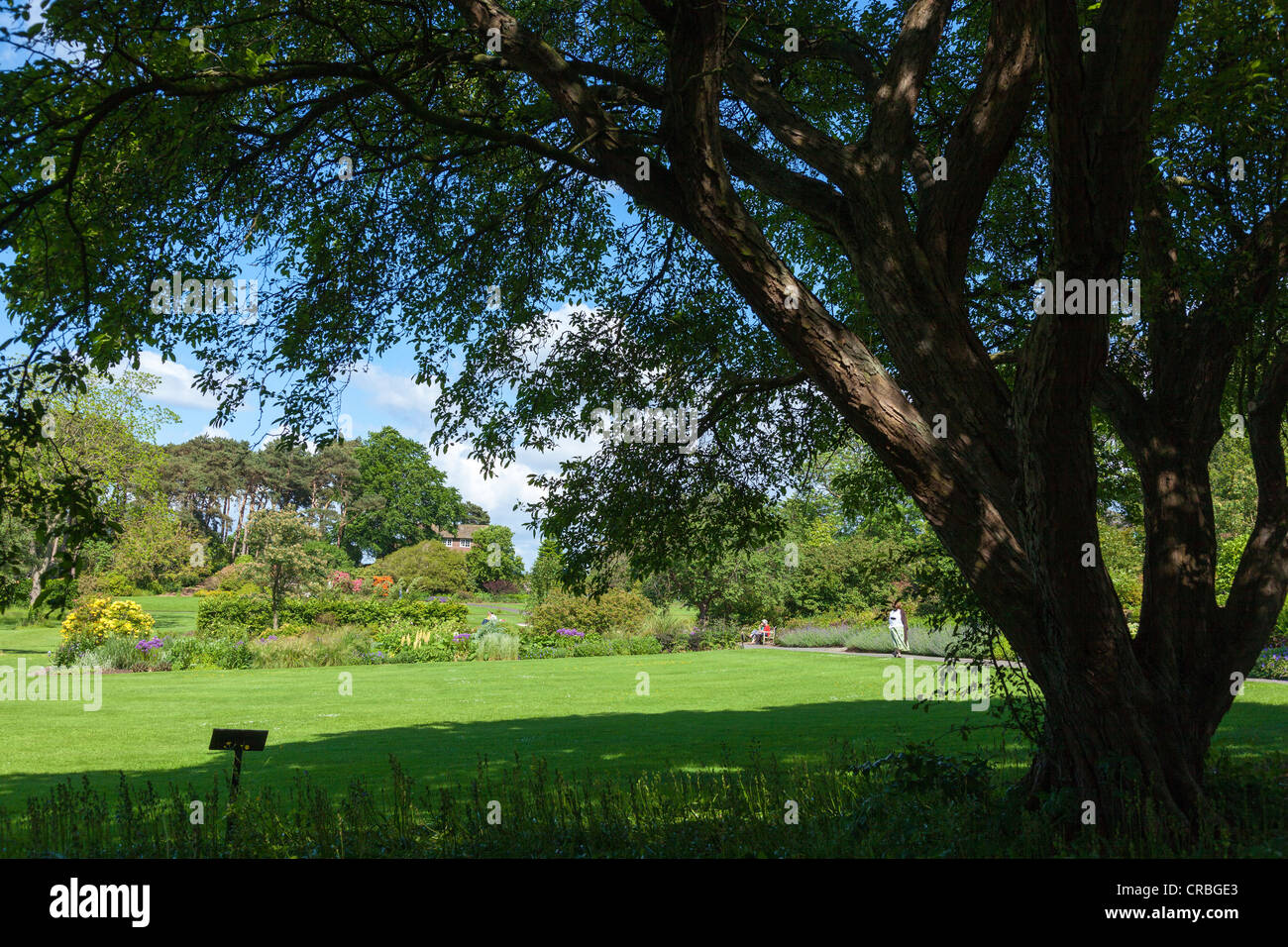 Ness giardini botanici sul Wirral. Foto Stock