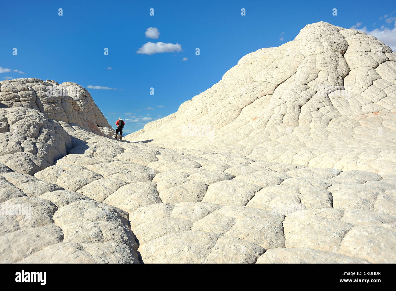 Fotografo in piedi sulla tasca bianco formazione di roccia, Vermiglio scogliere monumento nazionale, dello Utah, dell'Arizona, Stati Uniti d'America Foto Stock