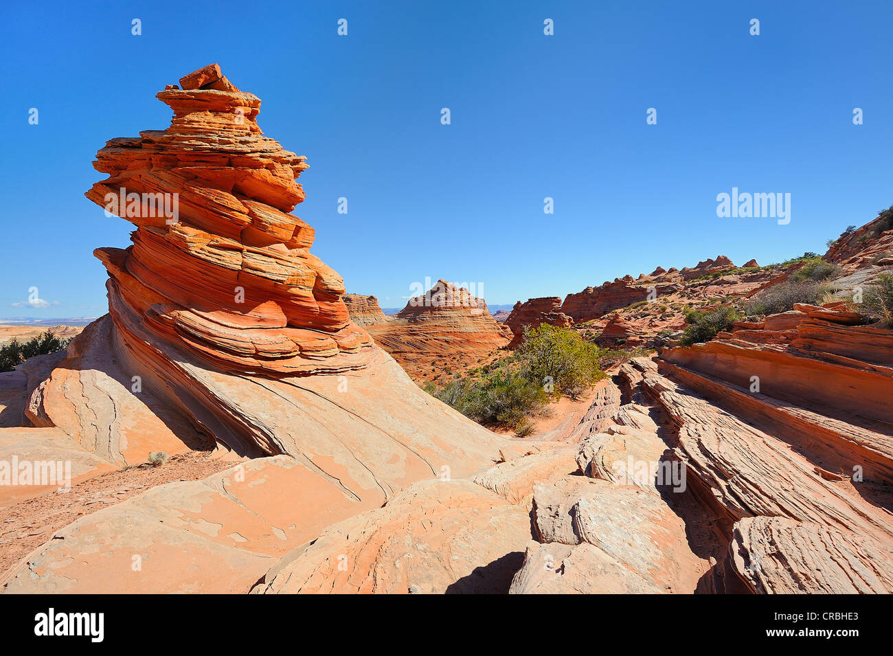 Formazione di roccia, Sud Coyote Buttes deserto Vermiglio scogliere monumento nazionale, dello Utah, dell'Arizona, Stati Uniti d'America Foto Stock