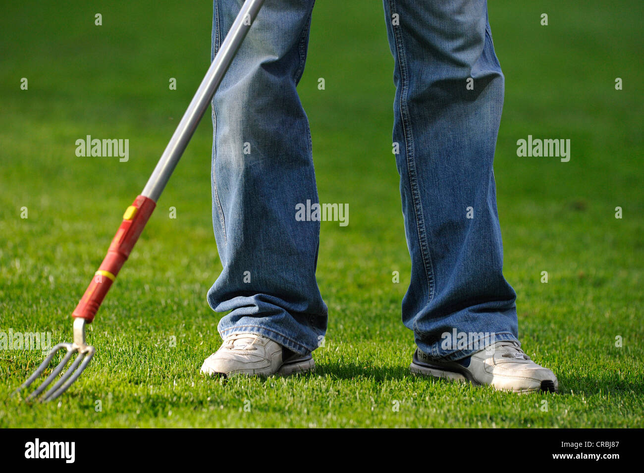 Prato cCare da un Green Keeper, giardiniere, Prato della Football League, Rhein-Neckar-Arena, Sinsheim, Baden-Wuerttemberg Foto Stock