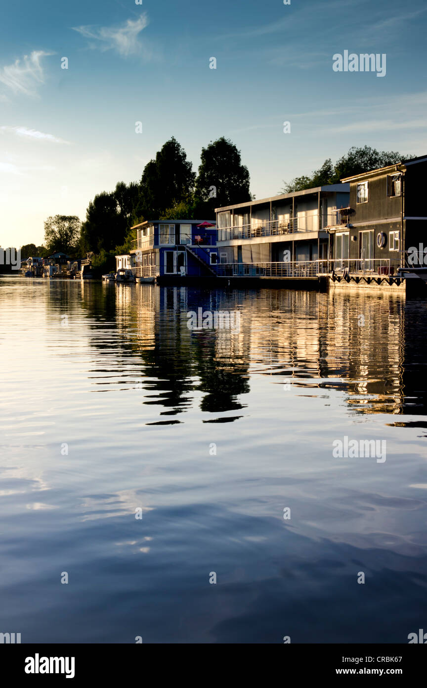 Europa, Regno Unito, Inghilterra, Surrey, houseboat, Taggs Island, Thames di Fiume Foto Stock
