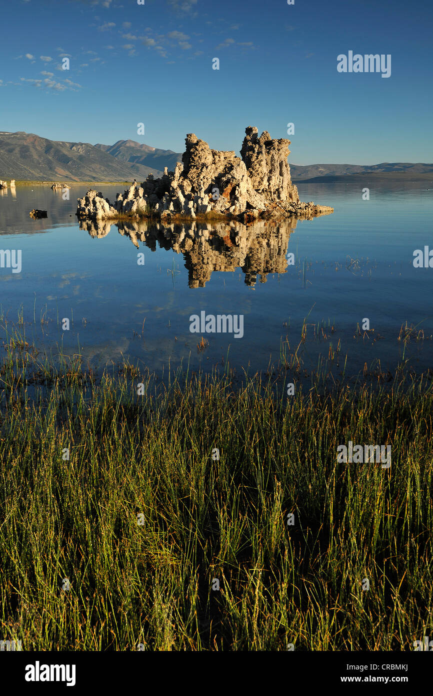 Roccia tufacea, formazioni di tufo, Sud Area di tufo, Mono lago, lago salino, Bacino di mono e regione di gamma, Sierra Nevada, in California Foto Stock