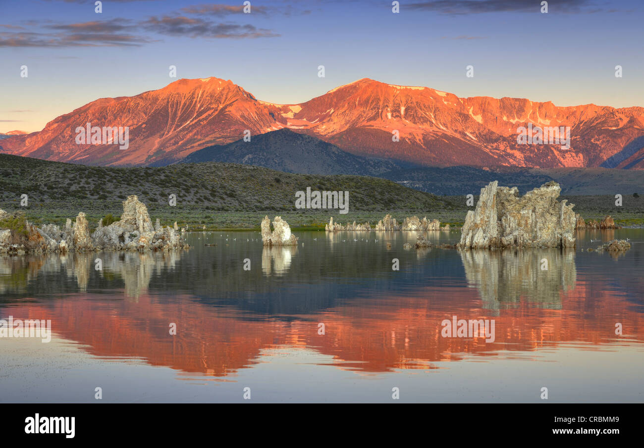 Dawn, sunrise, tufo, formazioni di tufo, Sud Area di tufo, Mono lago, lago salino, Bacino di mono e regione di gamma, Sierra Nevada Foto Stock