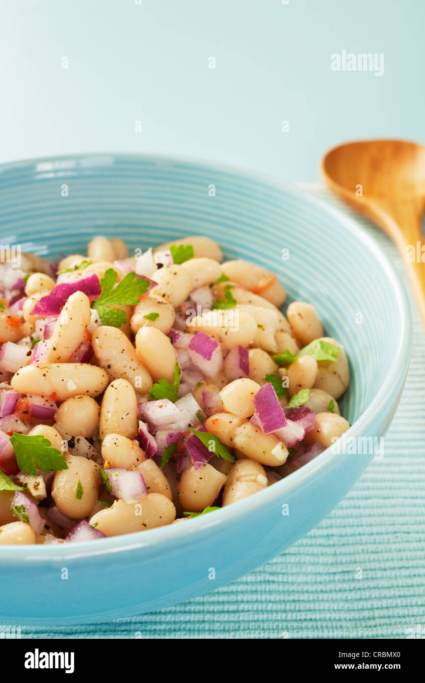 Italiano di fagioli cannelini insalata di fagioli al limone Insalata con cipolla rossa, rosmarino, prezzemolo e aglio. Foto Stock
