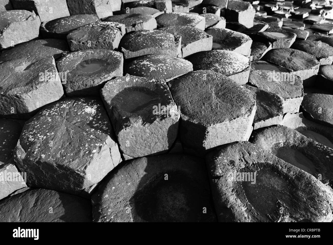 Colonne di basalto, Giant's Causeway Causeway Coast, County Antrim, Irlanda del Nord e Gran Bretagna, Europa Foto Stock